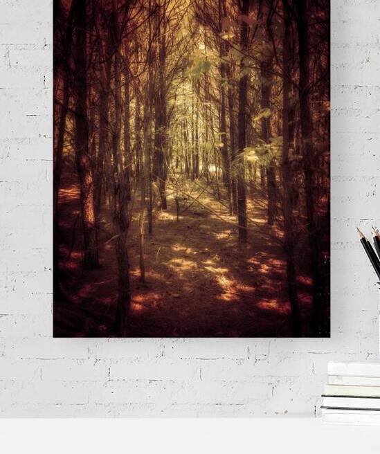 Auburn Forest by Dream World Images