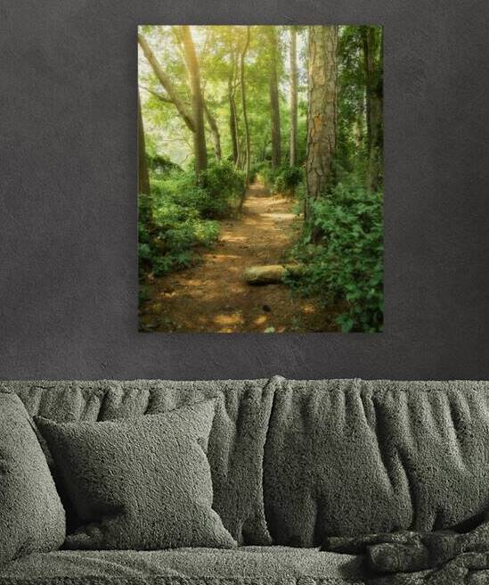 Whispers Along the Sunlit Path by Dream World Images