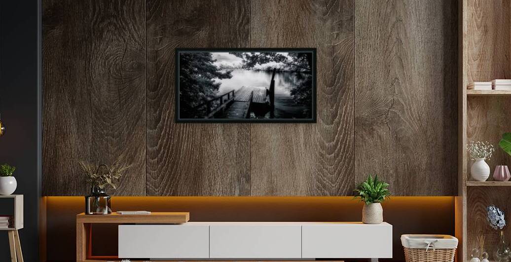 Monochrome Serenade: Abbotts Pond Delaware by Dream World Images