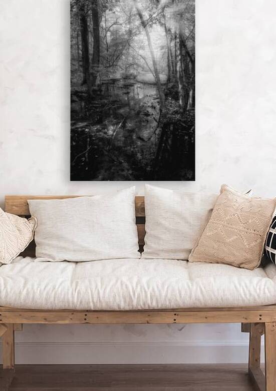 Killens Swamp by Dream World Images