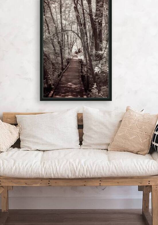 Abbotts Mill Trailblazing: A Swamp Journey in Delawares Natural Oasis by Dream World Images