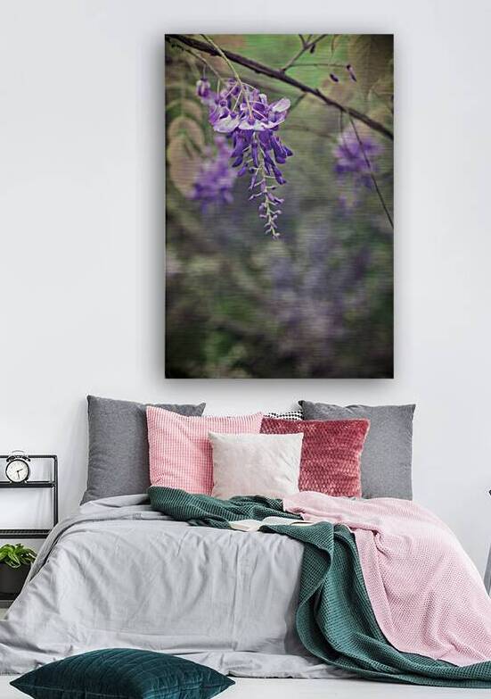 Full Spectrum Flowers by Dream World Images