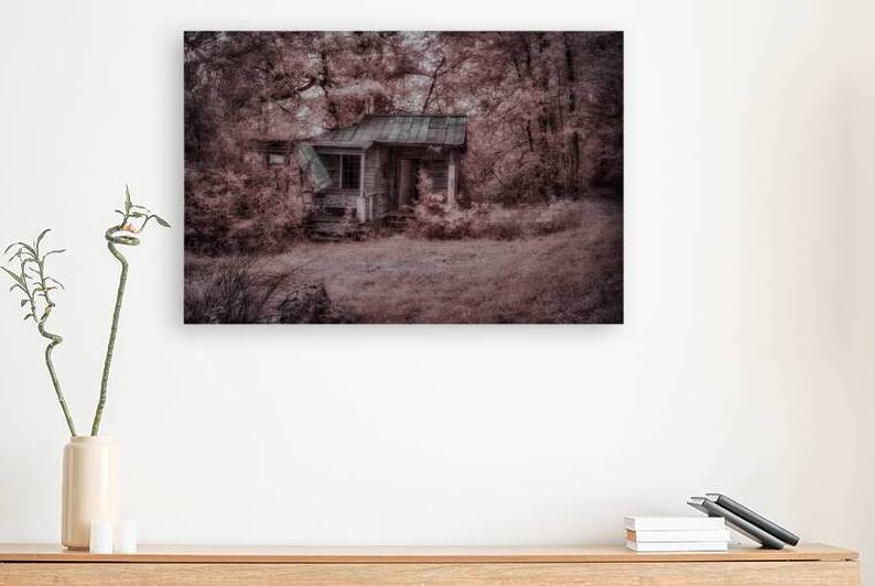 Louisiana Fishing Shack-3 by Dream World Images