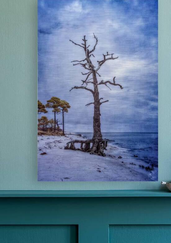 Coastal Sentinels Last Watch by Dream World Images