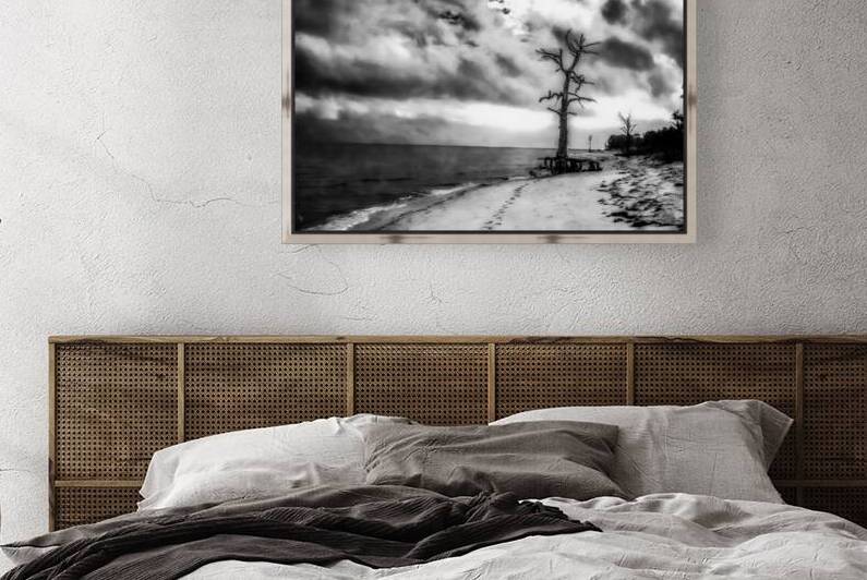 Ghosts of the Shoreline: Dead Tree Footprints by Dream World Images