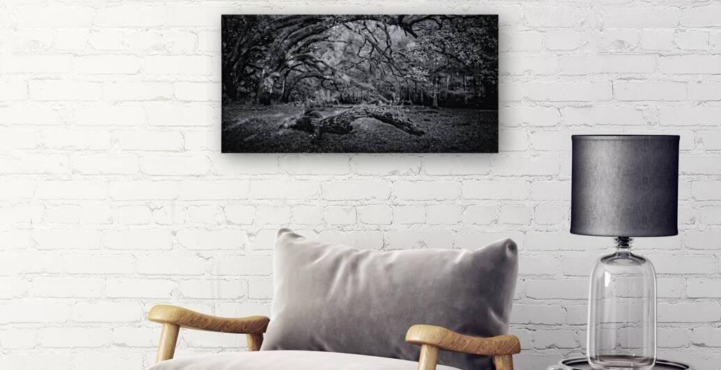 Wooden Nellie by Dream World Images