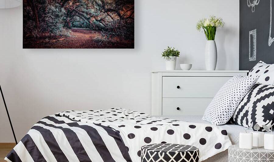 Solitary Trails: Oak Hangover by Dream World Images