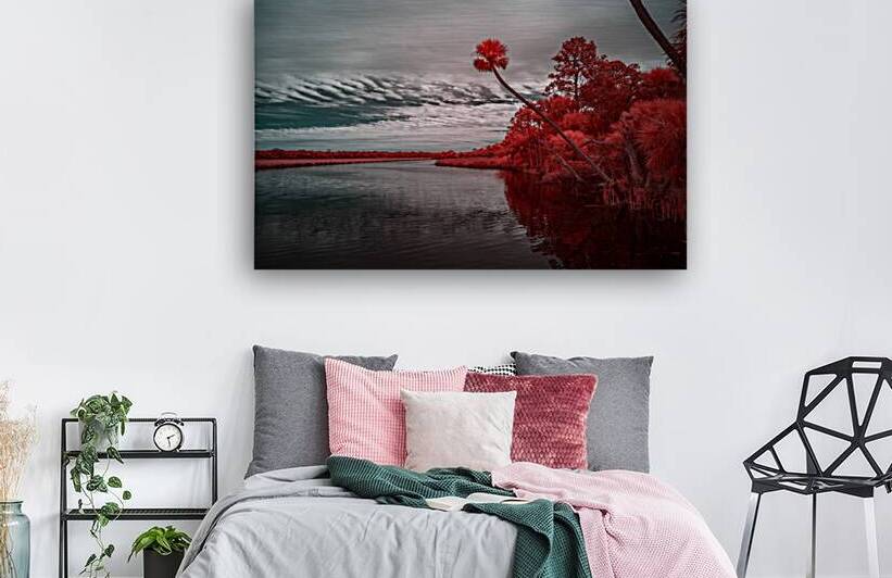 Exploring Bulow Plantation: A Romantic Stroll Reveals a Crimson-Hued Palm Oasis by Dream World Images