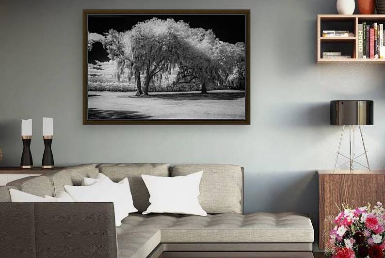 Neutral Trees by Dream World Images