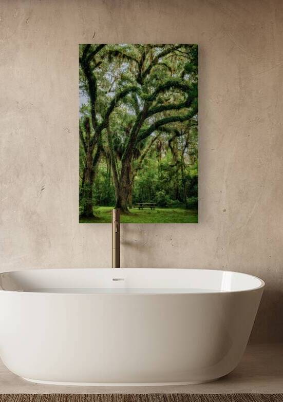 Unexpected Charms: Yuhlee Sugar Plantations Tranquil Oak Haven in Florida by Dream World Images