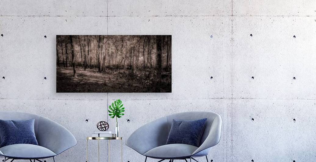 Cypress Shadows at Dawn by Dream World Images