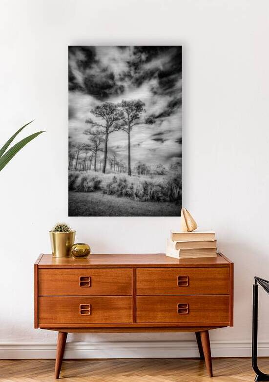 Together by Dream World Images