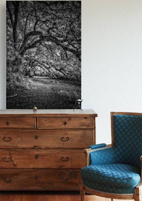 Whispers in the Grove by Dream World Images