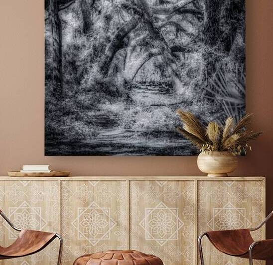 Jungle Path by Dream World Images