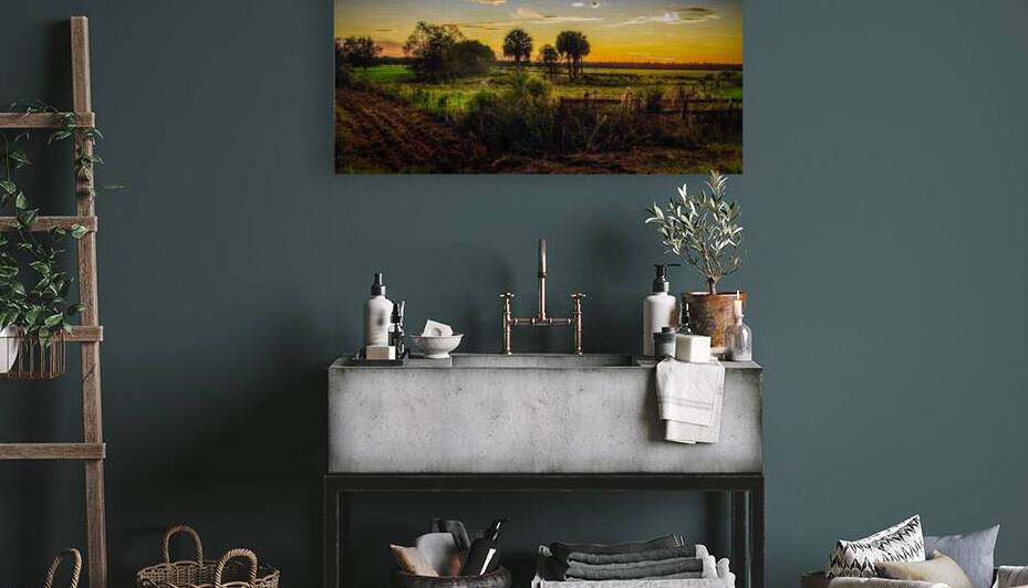 Rural Florida Sunset by Dream World Images