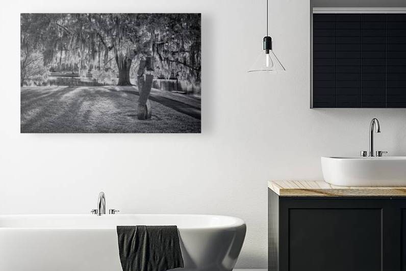 Southern Sentinel by Dream World Images