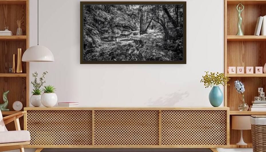 Swampy  by Dream World Images