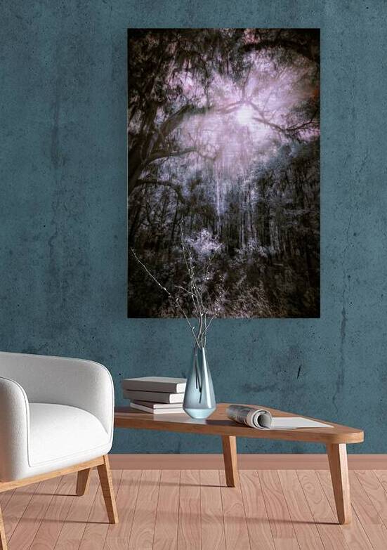 Spooky Trees by Dream World Images