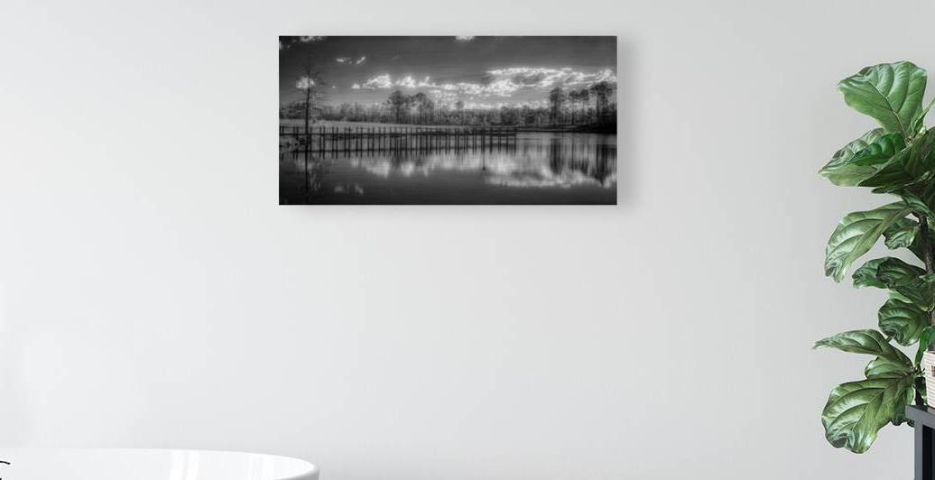 Tranquil Reflection: Florida Dead Lakes by Dream World Images