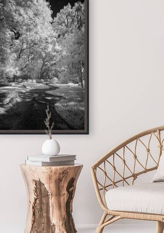 Infrared Pathway by Dream World Images