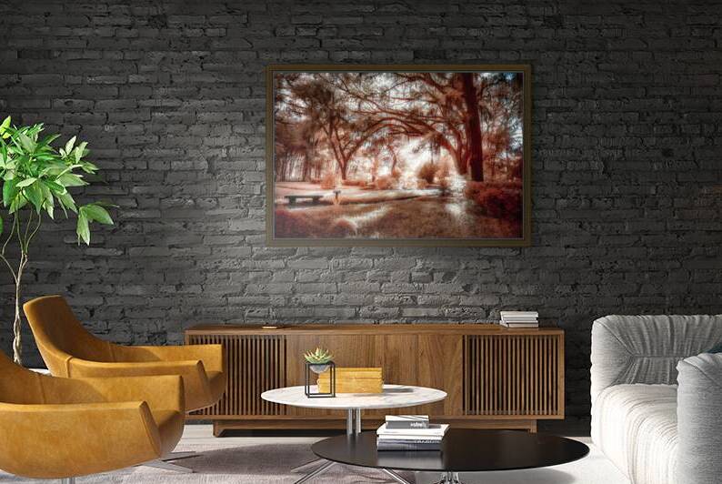 The Bench by Dream World Images