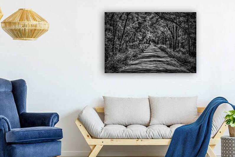 Florida Dirt Road by Dream World Images