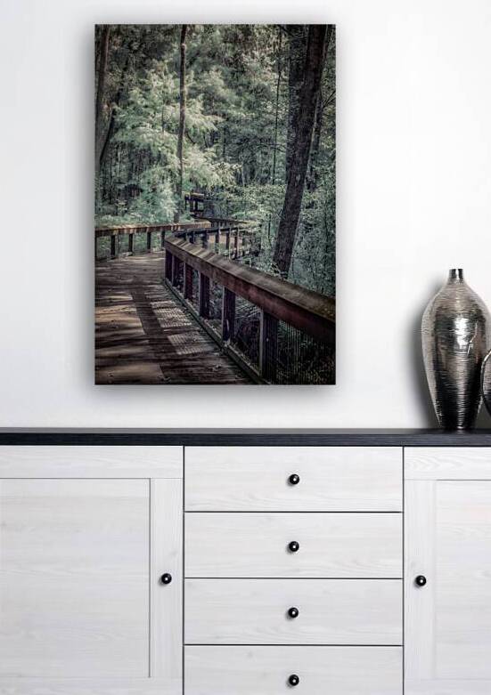 Forests Winding Welcome by Dream World Images