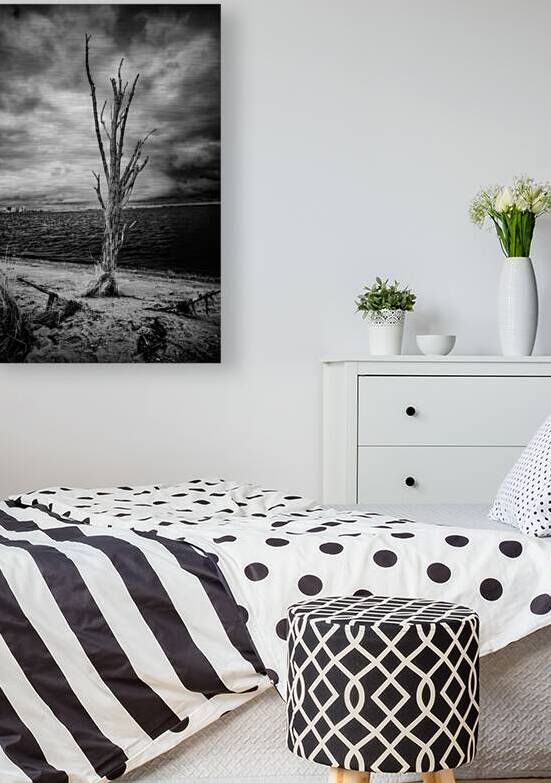 Riverside Resilience: Patuxent Rivers Weathered Tree in Black and White Infrare by Dream World Images