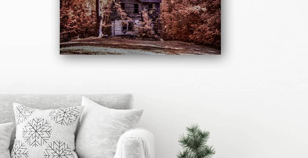 Unveiling the Mysteries of Brooms Island:  Forgotten by Dream World Images