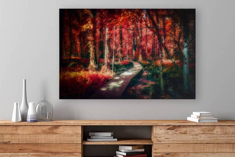 Red Swamp Walk by Dream World Images