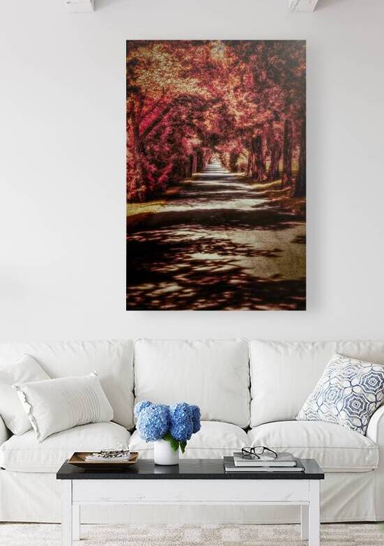 Autumn Roadway by Dream World Images