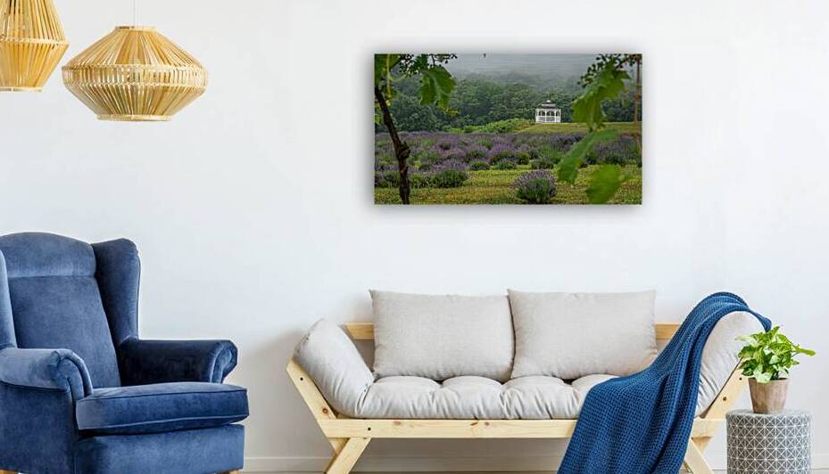 Thru the Vine by Dream World Images