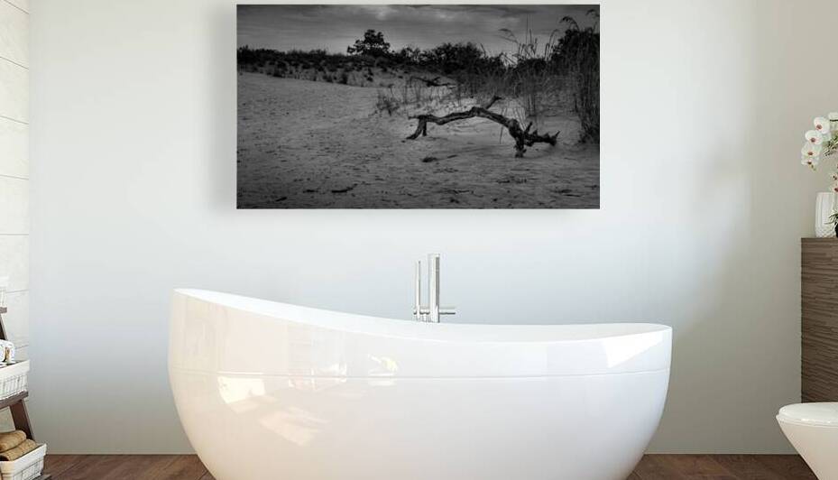 Jockey Ridge Branch by Dream World Images