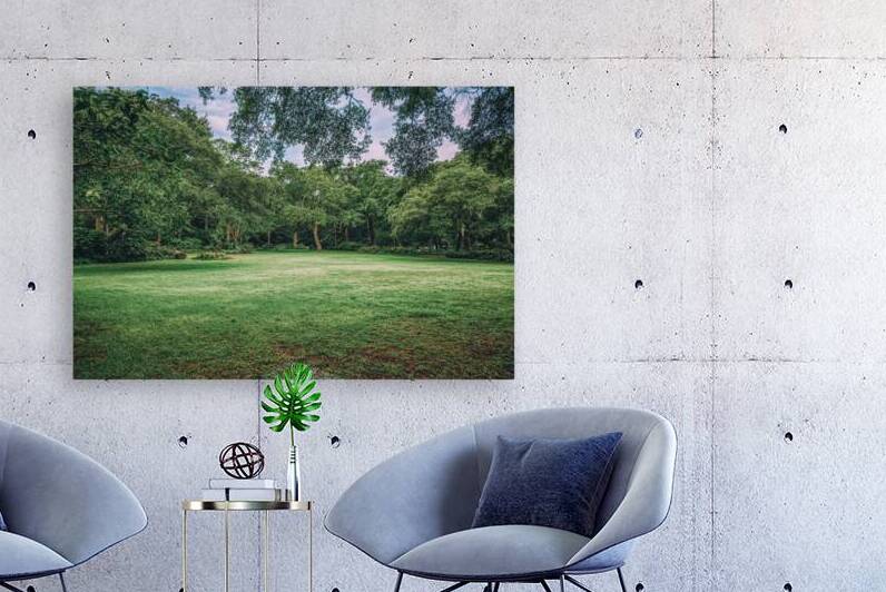 Royal Lawn by Dream World Images