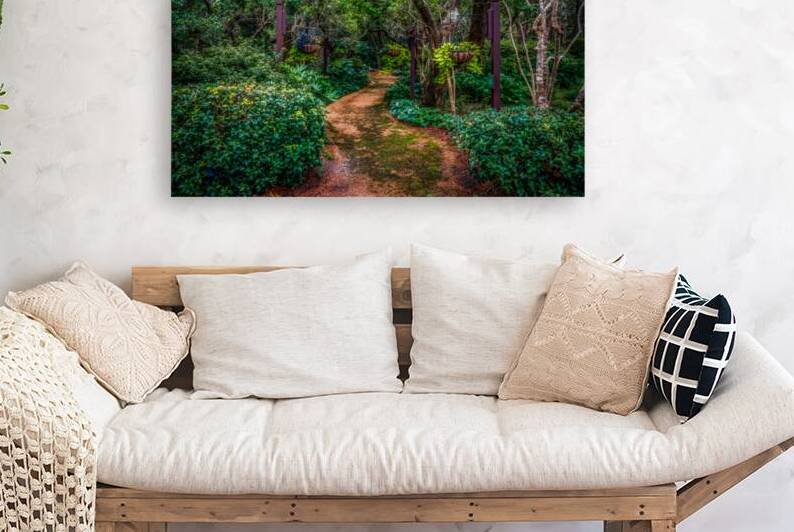 Footpath by Dream World Images