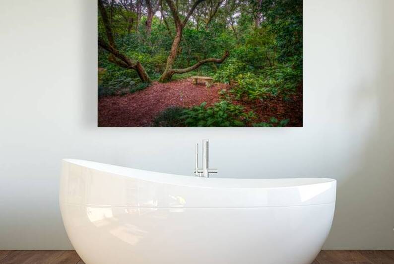 Serene Seat by Dream World Images