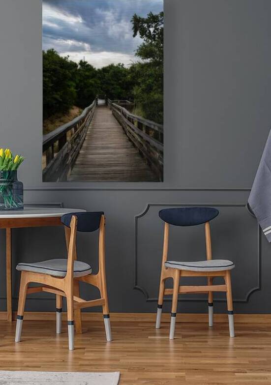 Jockey Ridge Walkway by Dream World Images