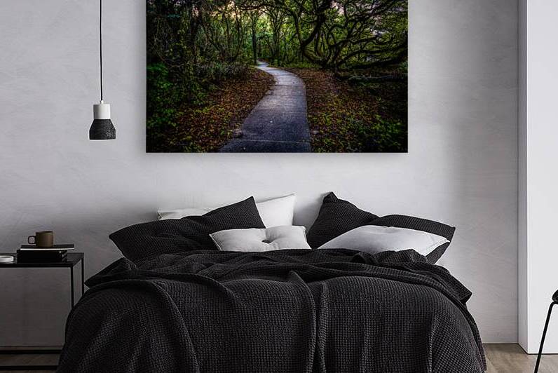 Labyrinth by Dream World Images