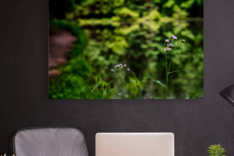 Tranquil Blossoms: A Close Encounter with Wildflower Splendor by Dream World Images