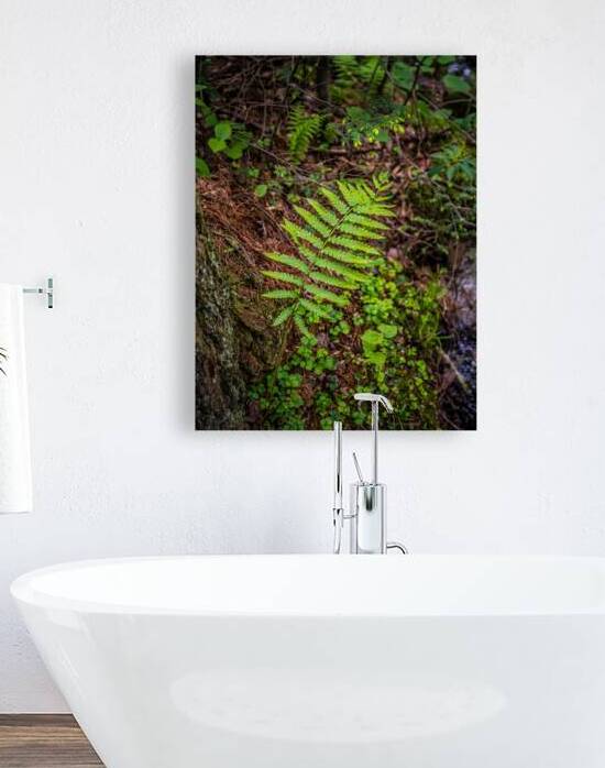 Fern Pattern by Dream World Images