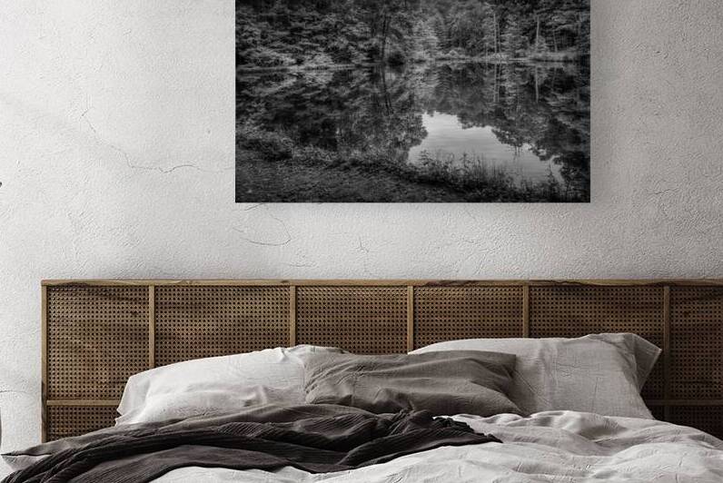 Natures Perfect Mirror by Dream World Images