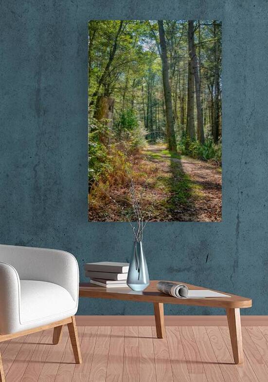 Path in woods by Dream World Images