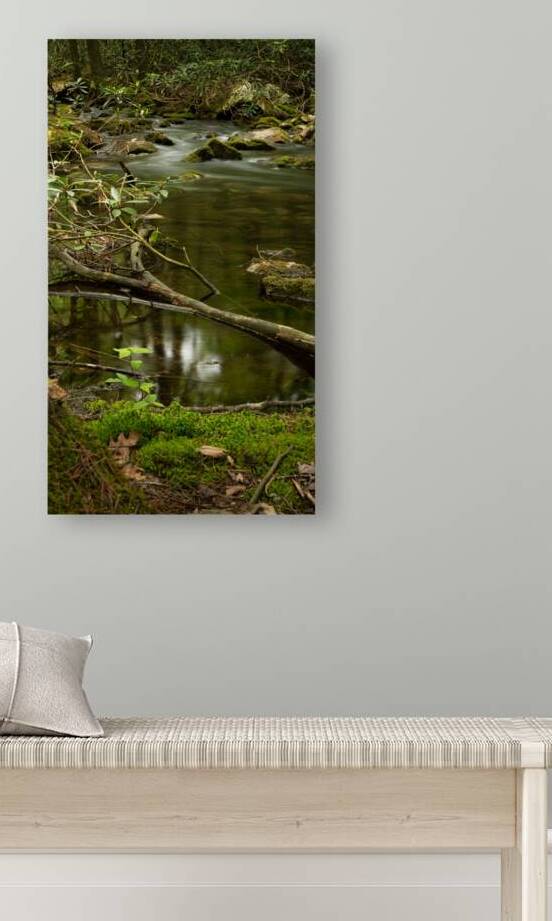 Woodlands Gentle Rapids by Dream World Images