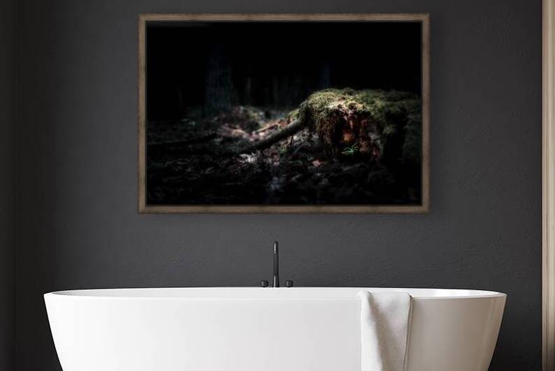 Veil of Quiet Elegance by Dream World Images