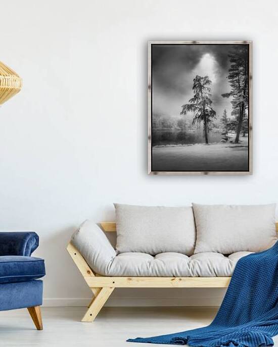 Lighted PA Pine by Dream World Images