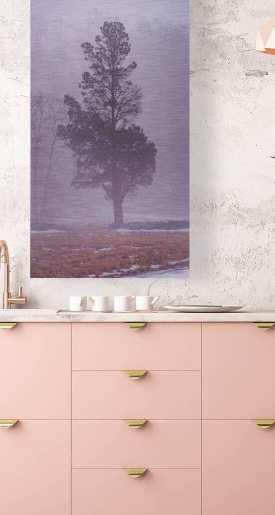 Winter Tranquility: Lone Withdrawn Tree in Gettysburg by Dream World Images