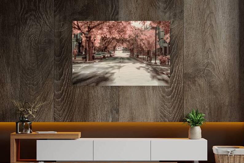 City in Bloom: Yorks Stroll Through Infrared Hues by Dream World Images