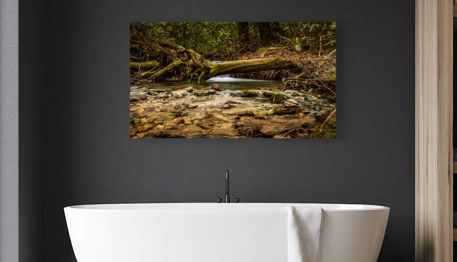 Hidden falls by Dream World Images