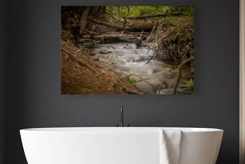 Natures Wild Symphony by Dream World Images