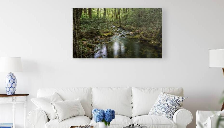 Forest Streams Light Dance by Dream World Images